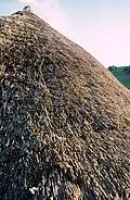 Reetdach (thatched roof), Hampshire, UK