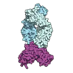 Isatuximab