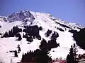 Blick von Oberjoch zum Iseler