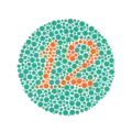 Farbtafel „12“ (Übungskarte. Nur völlig Farbenblinde können die „12“ nicht erkennen)