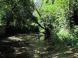 Der Hozain in Isle-Aumont