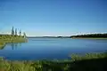 Am See Iso Seluskanjärvi