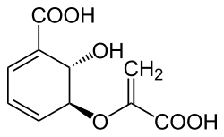 Struktur von Isochorisminsäure