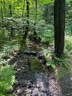 Ispingrader Bach