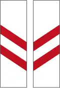 131 Zweistreifige Bake