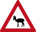 146 A Steinböcke