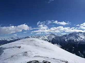 Isskogel