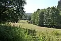 Itterbachtal zwischen Schöllenbach und Kailbach mit Wiesen und Galeriewald