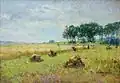 Erntezeit