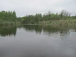 Zufluss