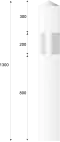 J1: Kurve