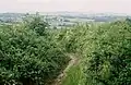 John Musgrave Heritage Path nördlich von Torquay Nähe Kinkerswell