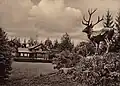 Jagdschloss mit dem Hirsch
