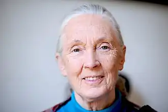 Porträt von Jane Goodall aus dem Jahre 2010