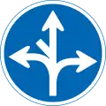 311-E: Verbot des Fahrens außerhalb der vorgesehenen Richtungen (kein Linksabbiegen diagonal nach oben)
