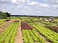 Garten von Imbermais