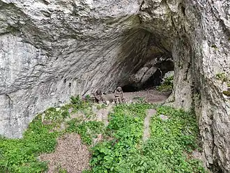 Eingangsbereich