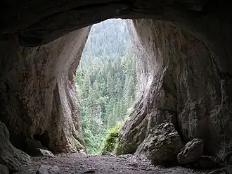 Eingang Pawlikowski-Fenster