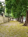 Goldenes Hanoi