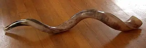 Ein Schofar im jemenitischen Stil