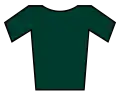 Maillot verde
