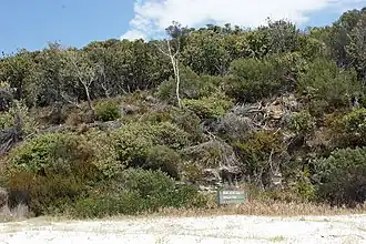 Südlicher Teil bei Hyams Beach