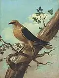 Vogel auf einem Ast