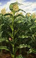 John Steuart Curry: Kansas Cornfield (1933)