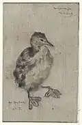 Küken
