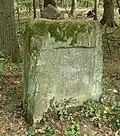 Jubiläumsstein am Frauenweg im Deister