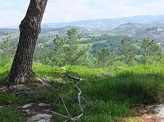 Idylle im Judäischen Bergland mit Blick über Chirbat al-Dayr nah der Grünen Linie, 2018