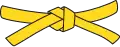 Gelber Gürtel