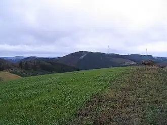 Blick von der Bracht südwestwärts zum Jürgensberg