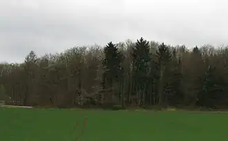 Ansicht von Vinxel