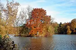 … mit Binsenteich