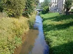 Die junge Pegnitz nach der Mündung des rechten Armes der Fichtenohe in Pegnitz