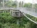 Verbindungsbrücken im Haus der Loris im Jurong Bird Park