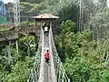 Baumkronenpfad im Jurong Bird Park