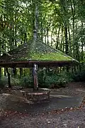 Im Kölner Stadtwald (Tierpark Lindenthal)