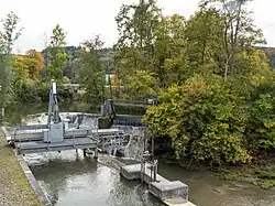 Königswuhr in Frauenfeld