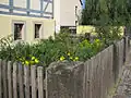 Garten des ehemaliges Hirtenhaus