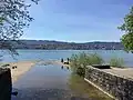 Mündung in den Zürichsee