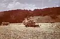 Aufladen der Weizen-Garben im Schlatter-feld von Kundelfingen