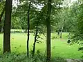 Der Skulpturenpark