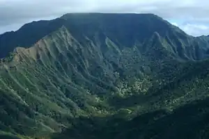 Der Kaʻala mit Gipfelplateau