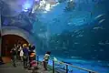Unterwassertunnel