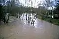 Januar 1995 in Alzenau Durchfluss zum Zeitpunkt: ca. 25 m³/s[18] weitere Bilder