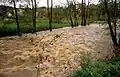 November 1998 in Alzenau Durchfluss zum Zeitpunkt: ca. 20 m³/s[18] weitere Bilder