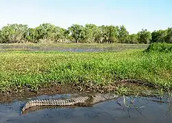 Nationalpark Kakadu