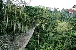 Kakum-Nationalpark